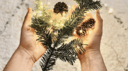 demo-attachment-1556-portfolio-15-img