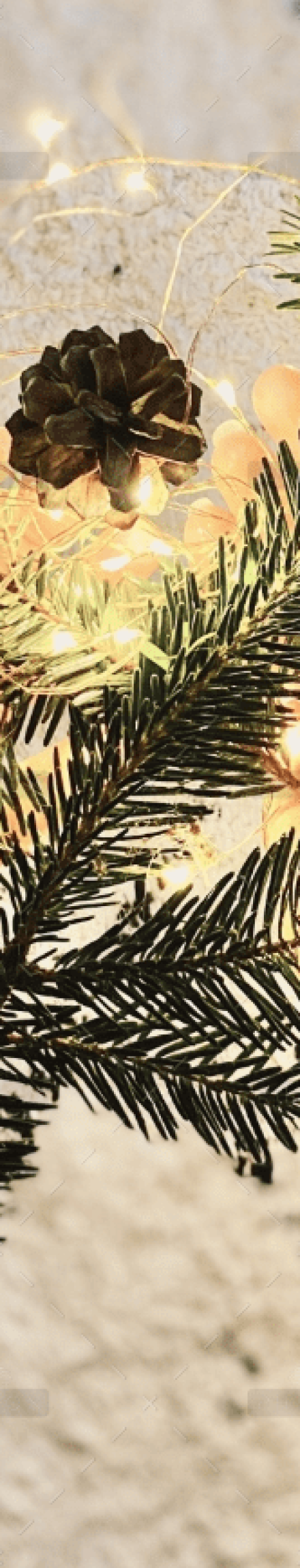 demo-attachment-1556-portfolio-15-img